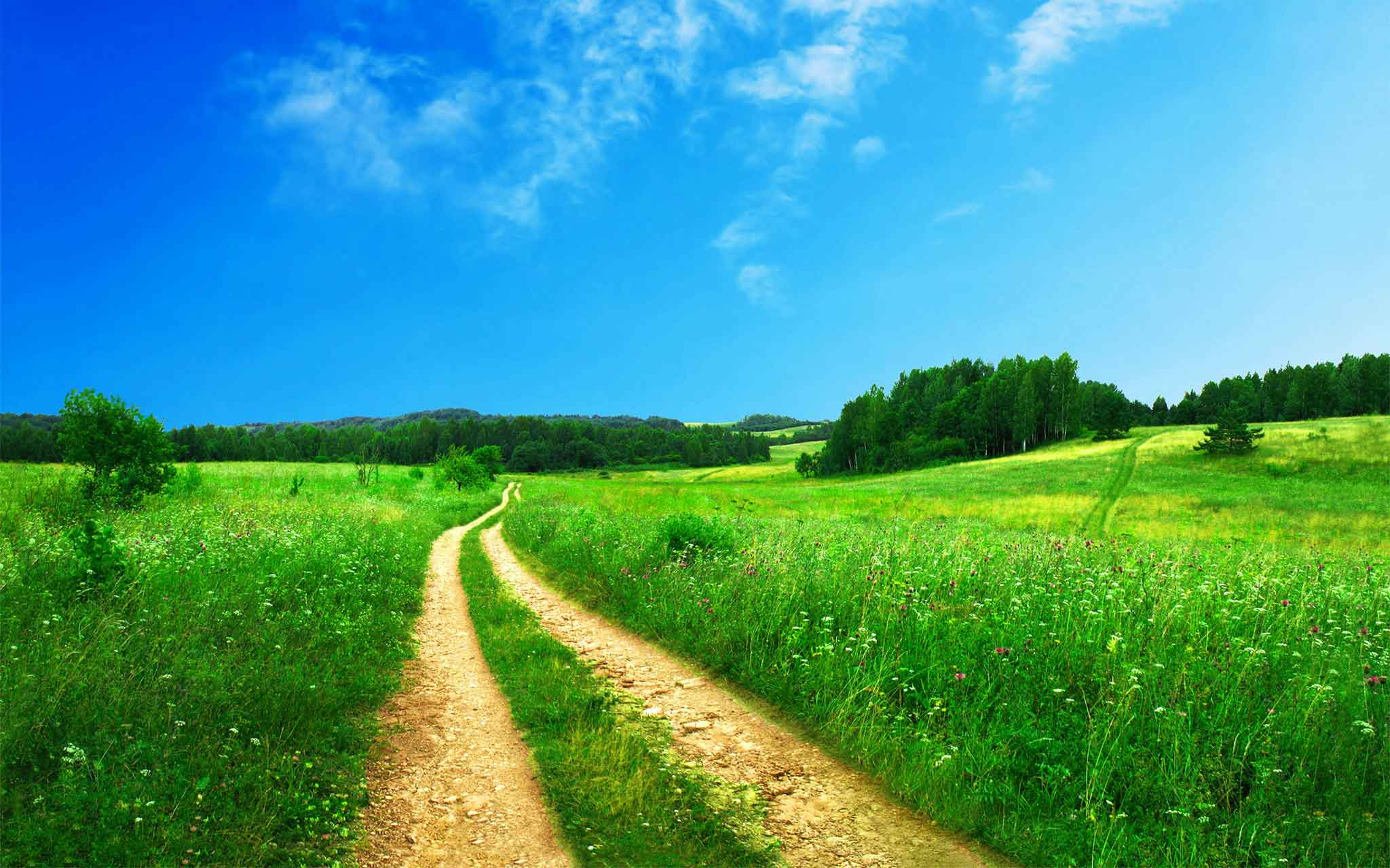therapeutische Methoden - Psychotherapie Praxis Zaspel